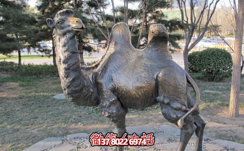 創意大型玻璃鋼駱駝雕塑，在草地上擺放，一眼回頭